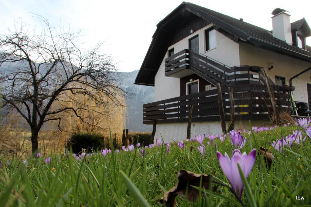 Apartments Tatjana Bovec Luaran gambar