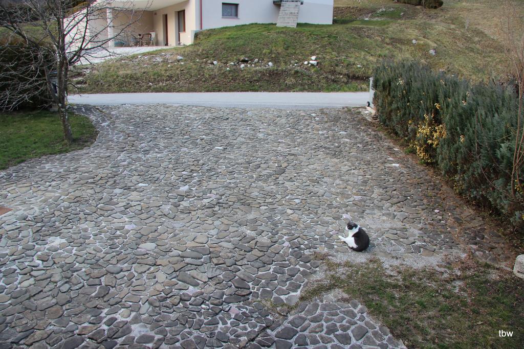 Apartments Tatjana Bovec Luaran gambar